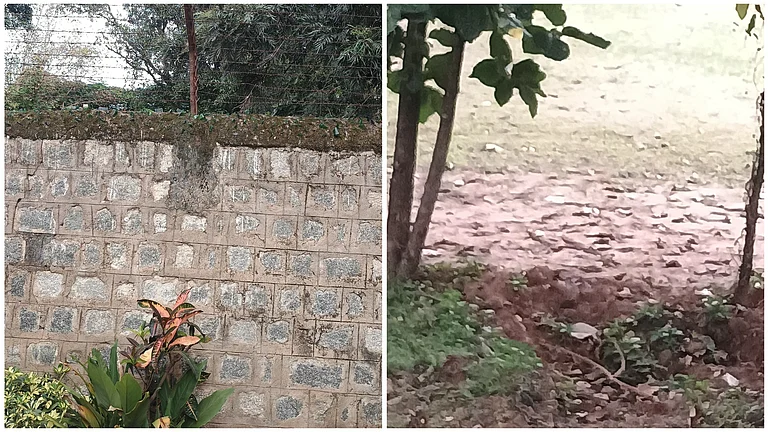 A social media user said on X that she witnessed the incident but could not help due to the walls.
- X/@smarthari